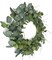 20-Inch Spring Eucalyptus Wreath for Front Door – Green Leaf & Berry Farmhouse Wreath for Indoor Outdoor Home, Wall, Porch Decor